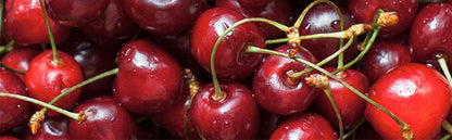 CHEMICAL GUYS - CHERRY BLAST PREMIUM VEHICULAR PERFUME