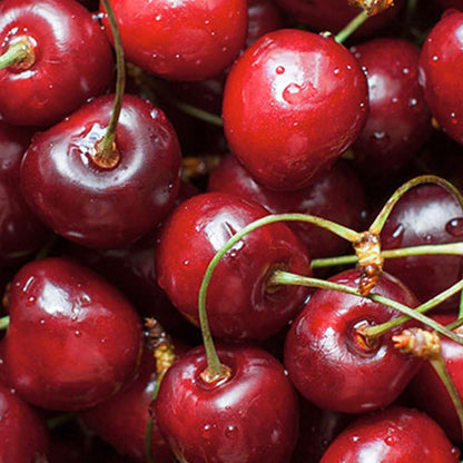 CHEMICAL GUYS - CHERRY BLAST PREMIUM VEHICULAR PERFUME